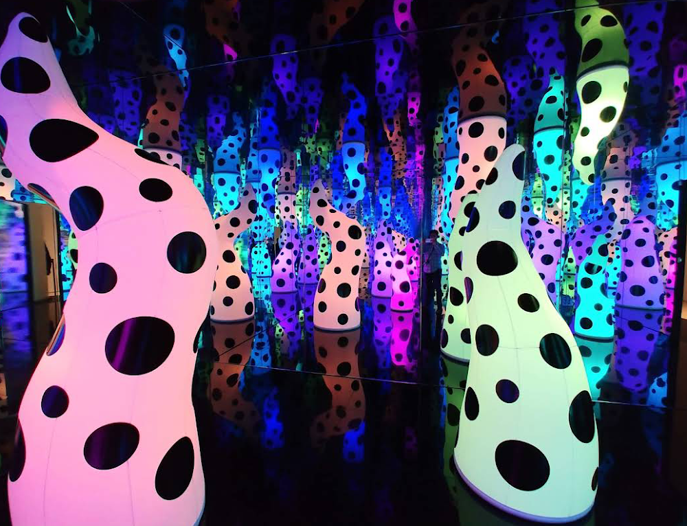 Tampa Museum of Art photo 3