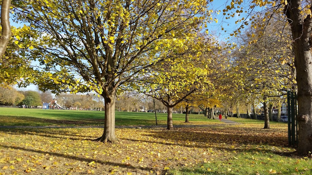 Central Hill Park photo 2