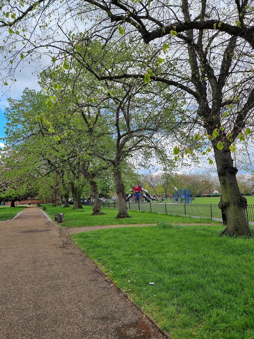 Central Hill Park photo 3