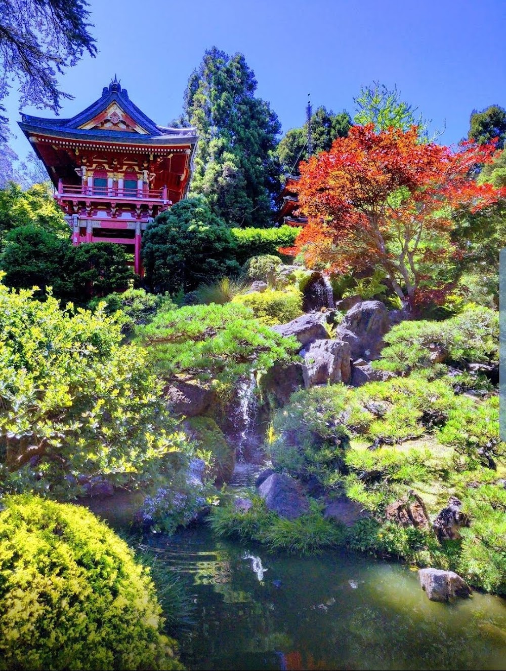 Golden Gate Park photo 3