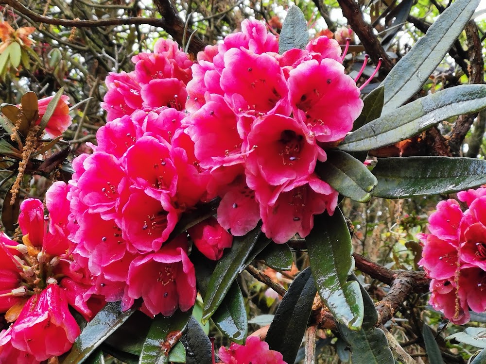 Longdongbao Forest Park