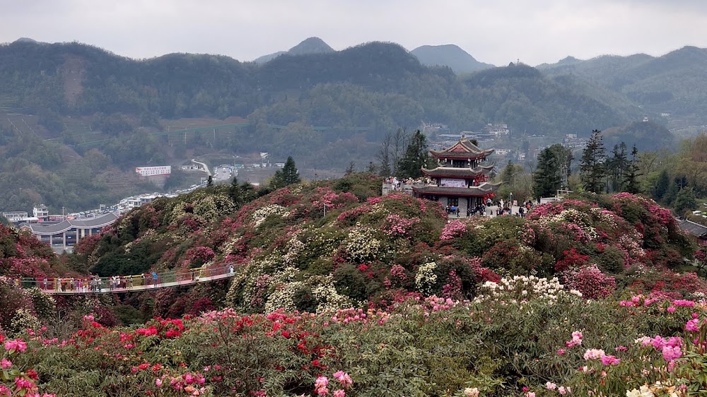 Longdongbao Forest Park photo 3