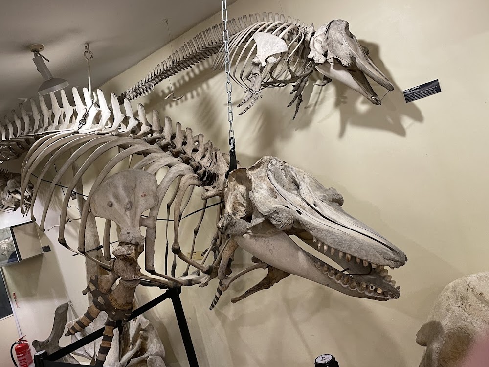 Booth Museum of Natural History photo 3