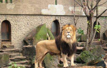 Artis Royal Zoo