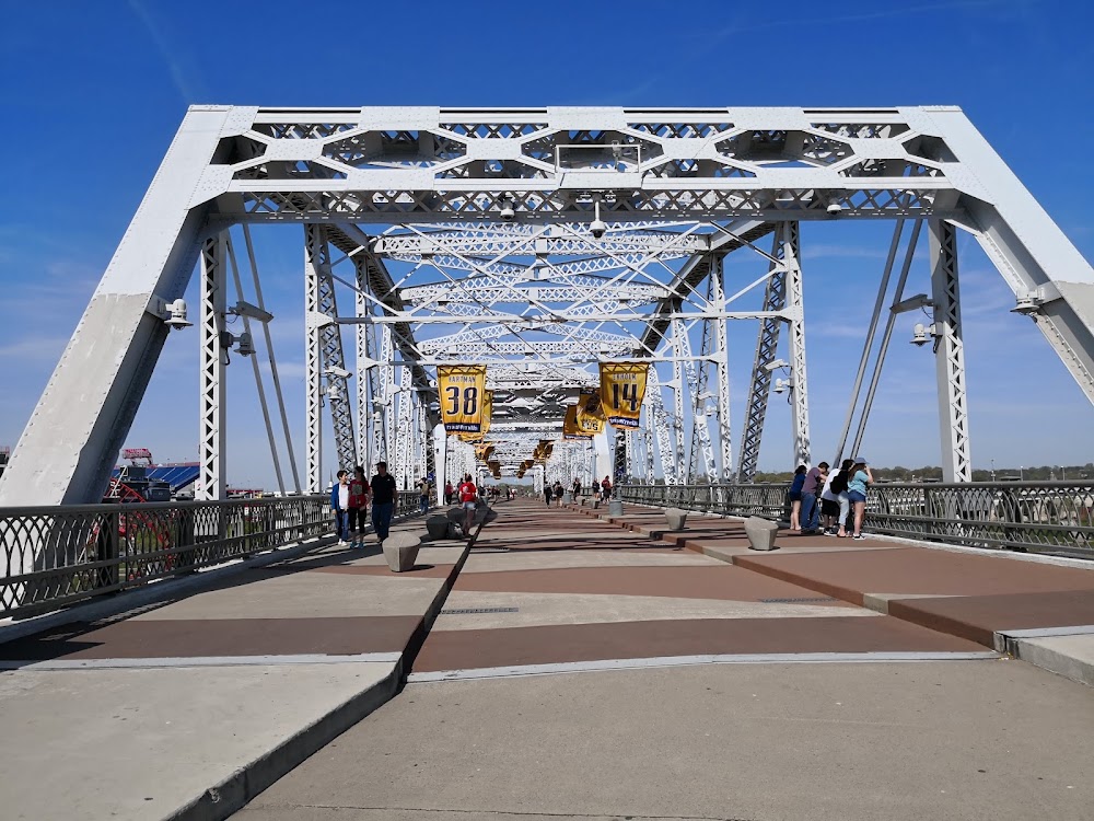 The Pedestrian Bridge