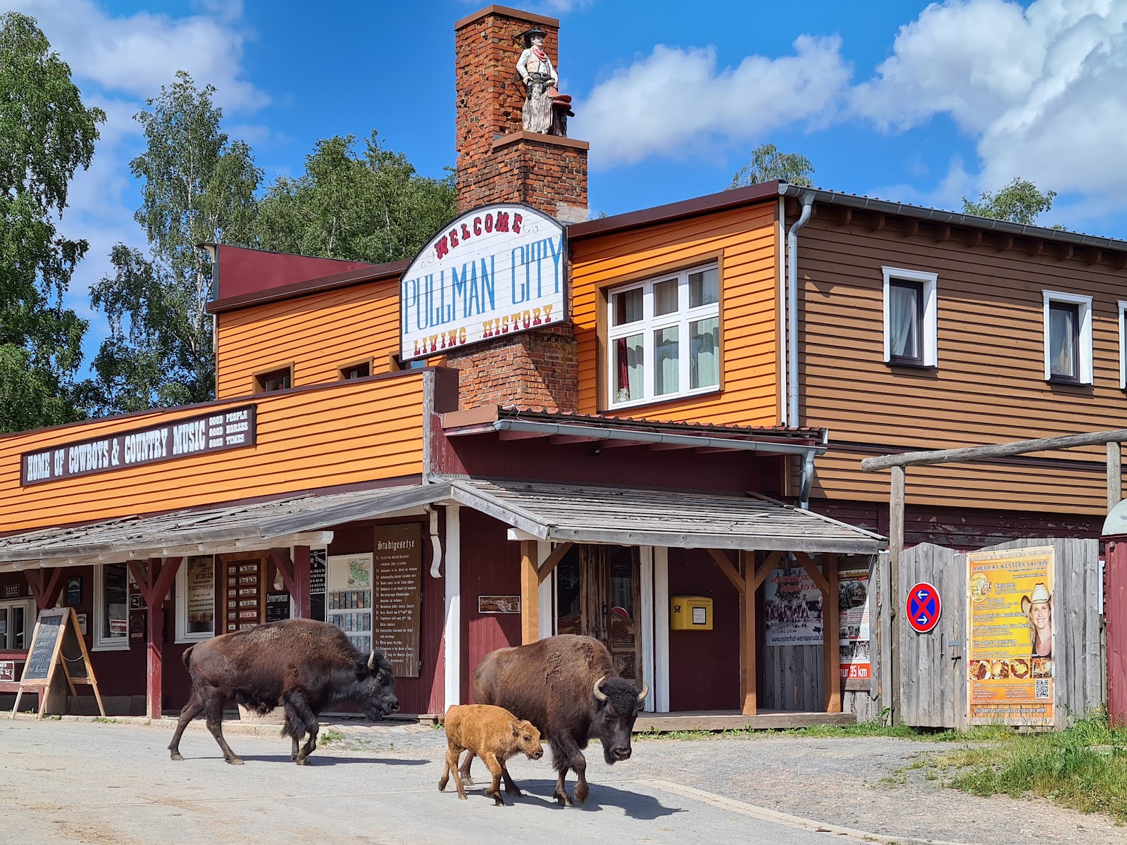 Western Town (Pullman City Harz) photo 2