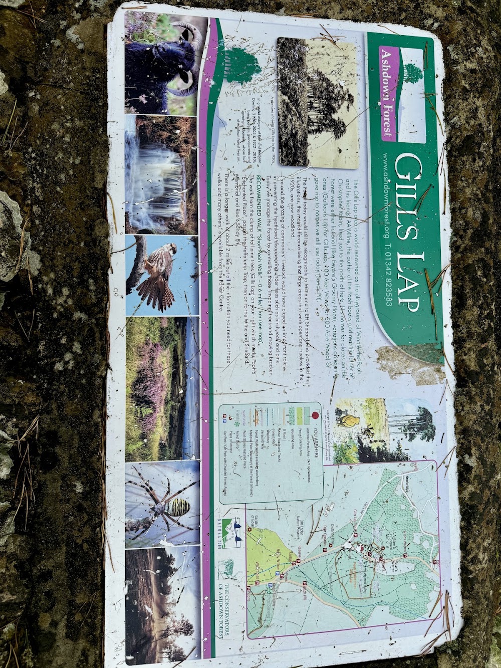 Gill's Lap Viewpoint photo 2