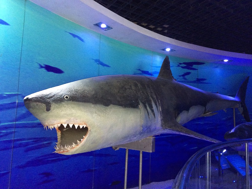 Qingdao Underwater World