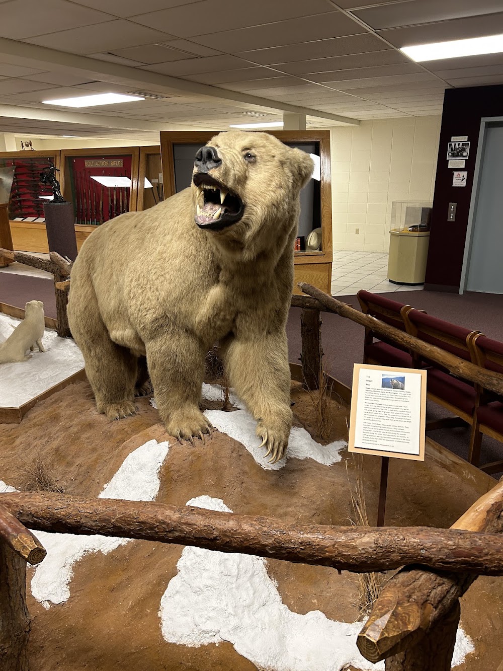 Ralph Foster Museum photo 2