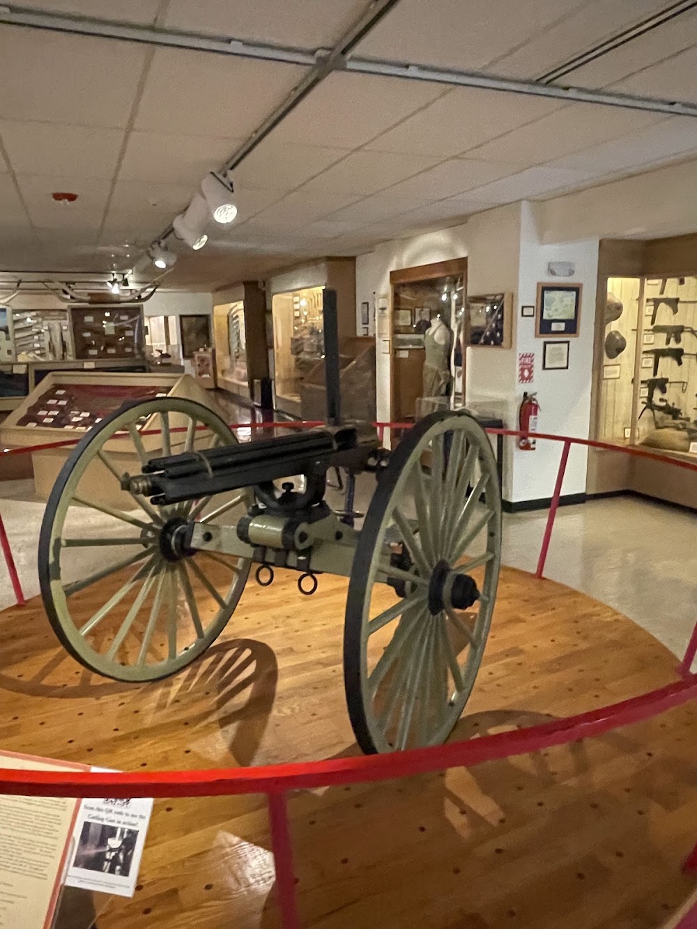 Ralph Foster Museum photo 3