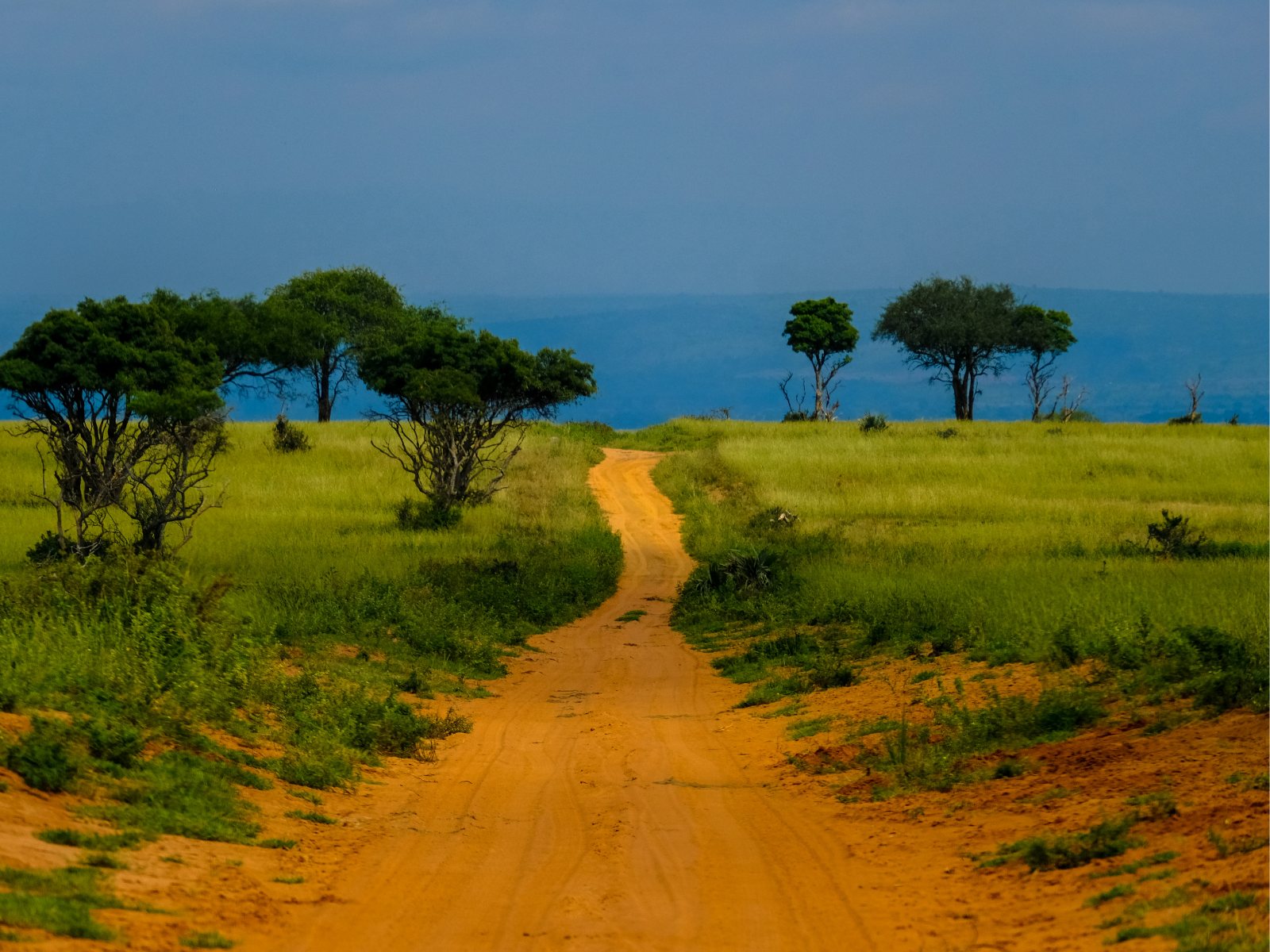 Malawi