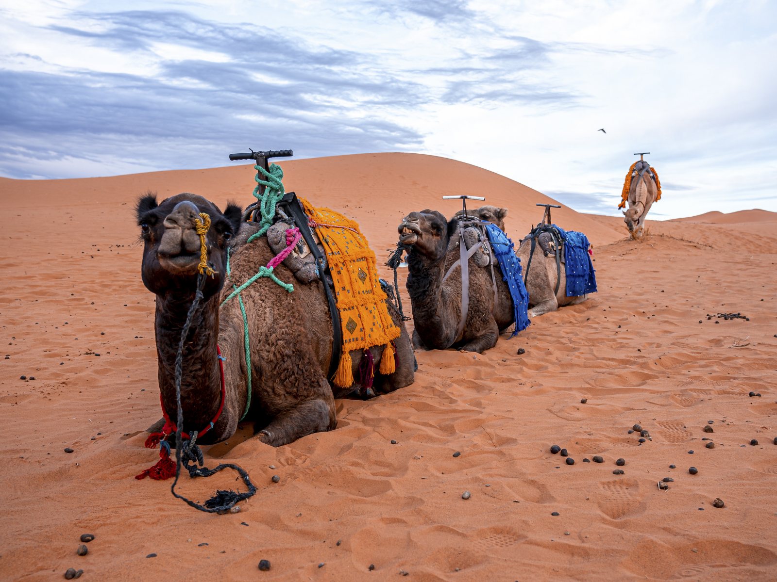 Morocco