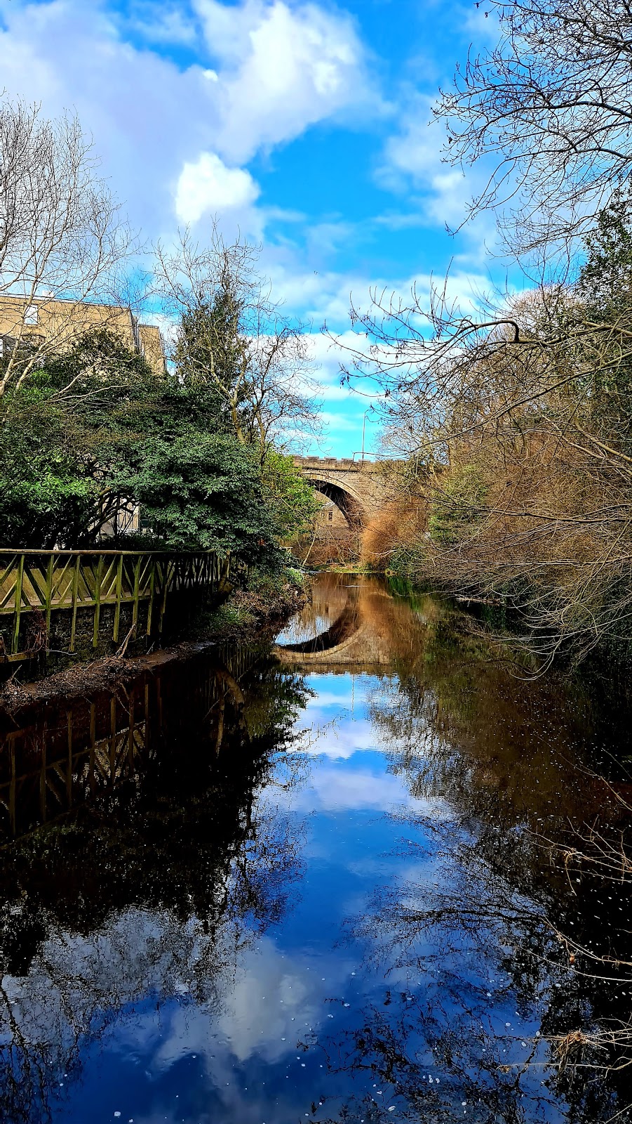 Water of Leith Walkway photo 3
