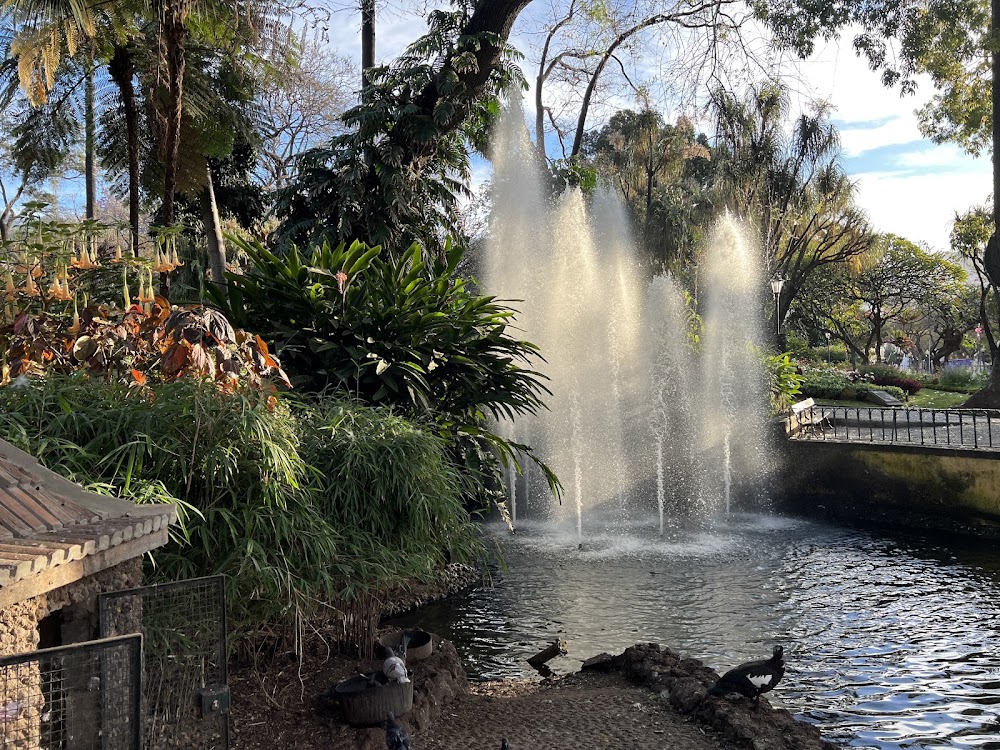 Jardim Municipal do Funchal