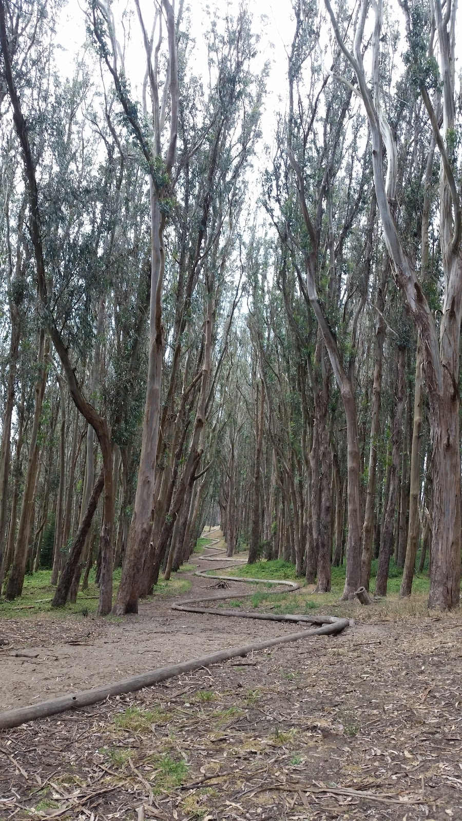 Lover’s Lane