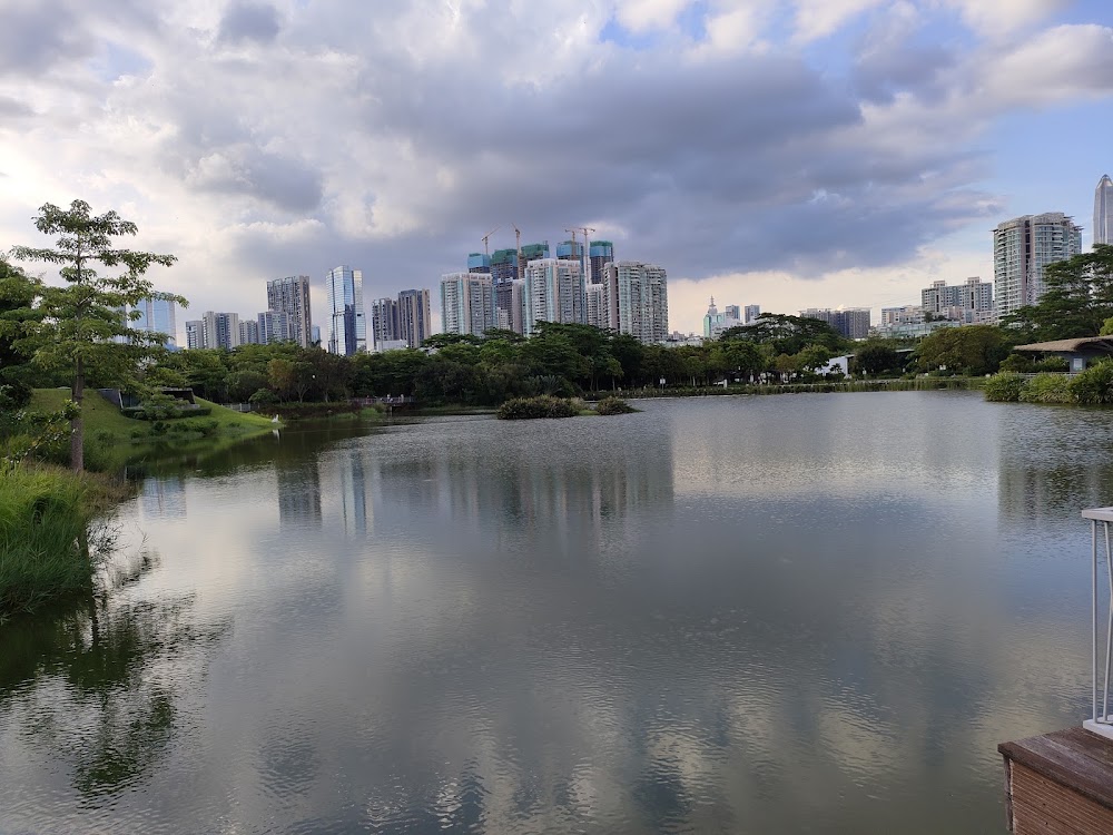 Mangrove Park