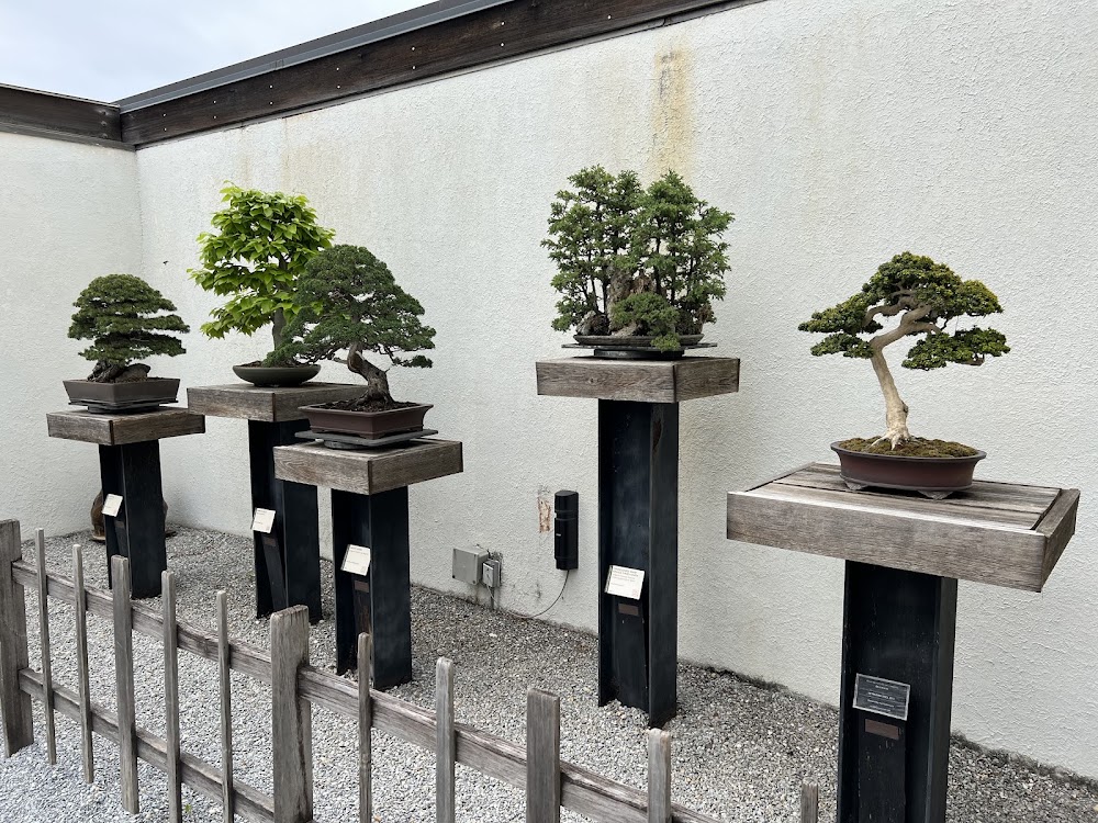 National Bonsai and Penjing Museum