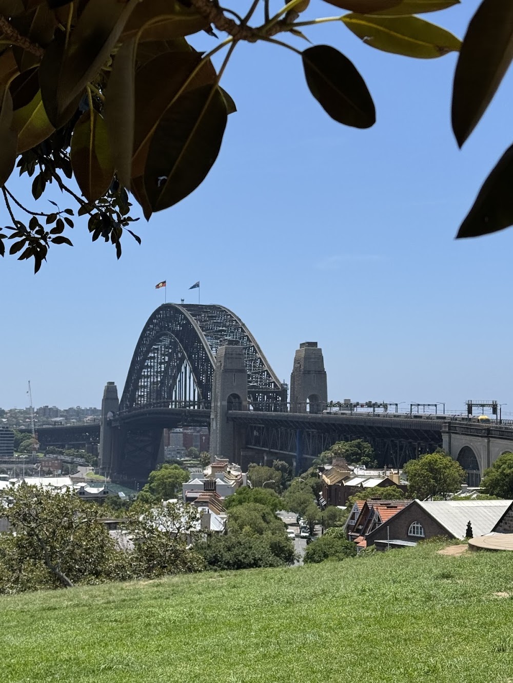 Observatory Hill