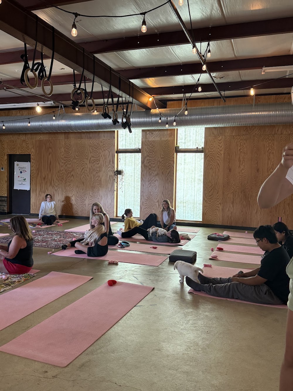 Puppies & Yoga