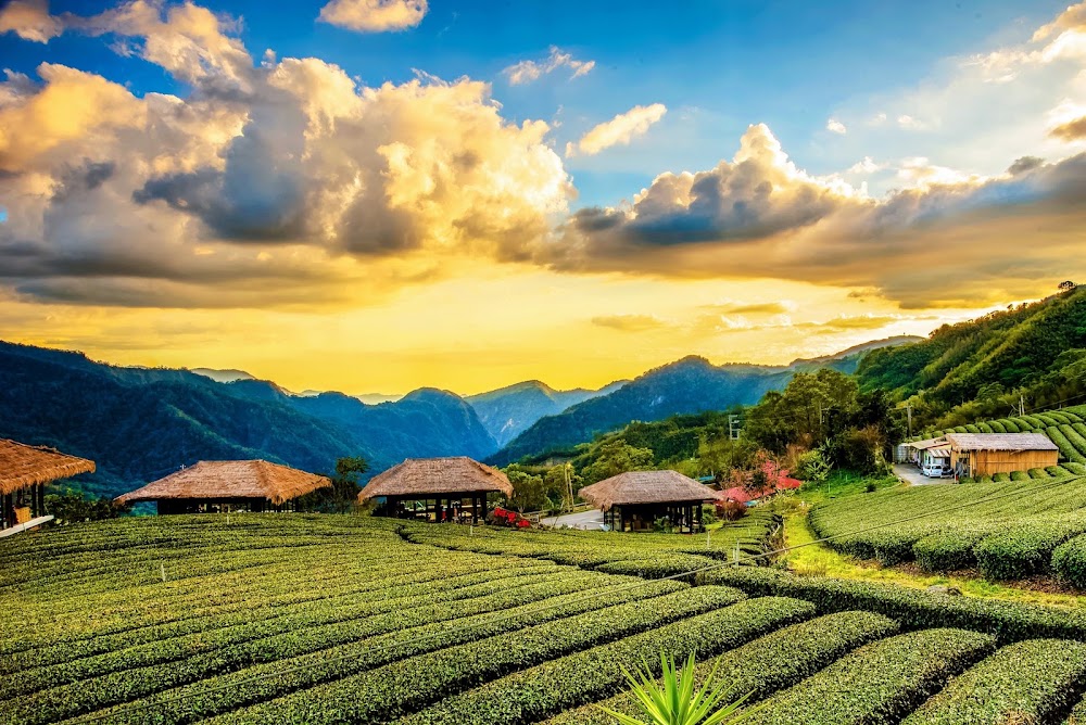 YUYUPAS Cultural Park