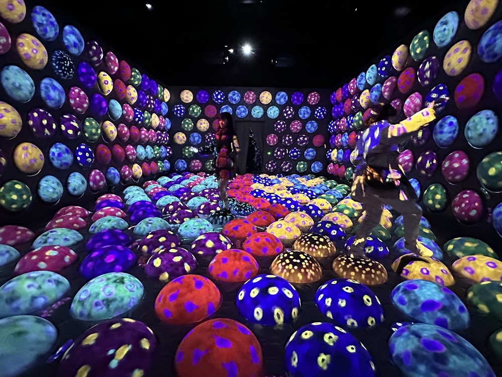 TeamLab Forest