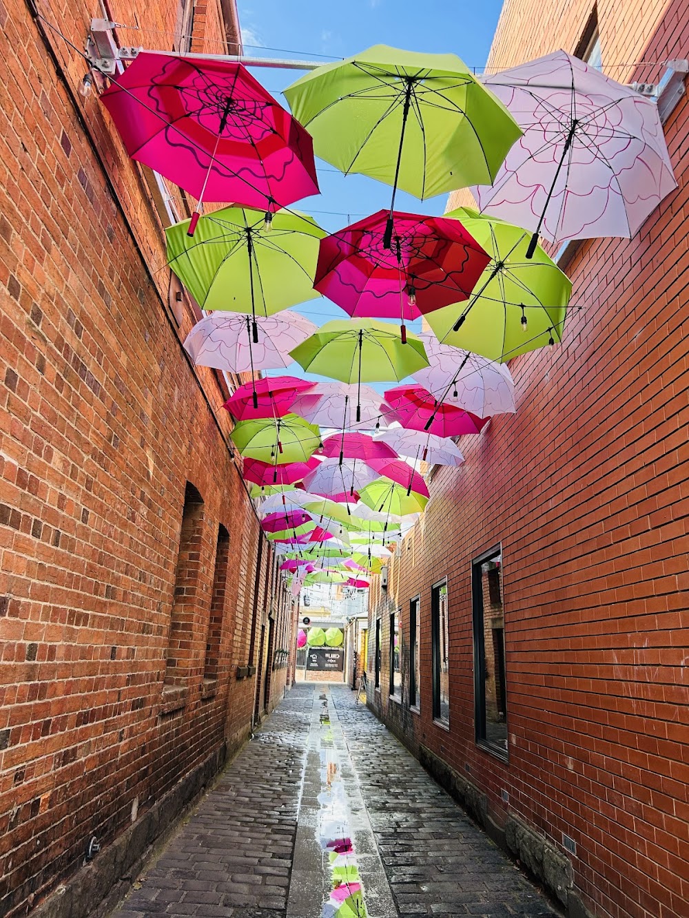 Umbrella Installation