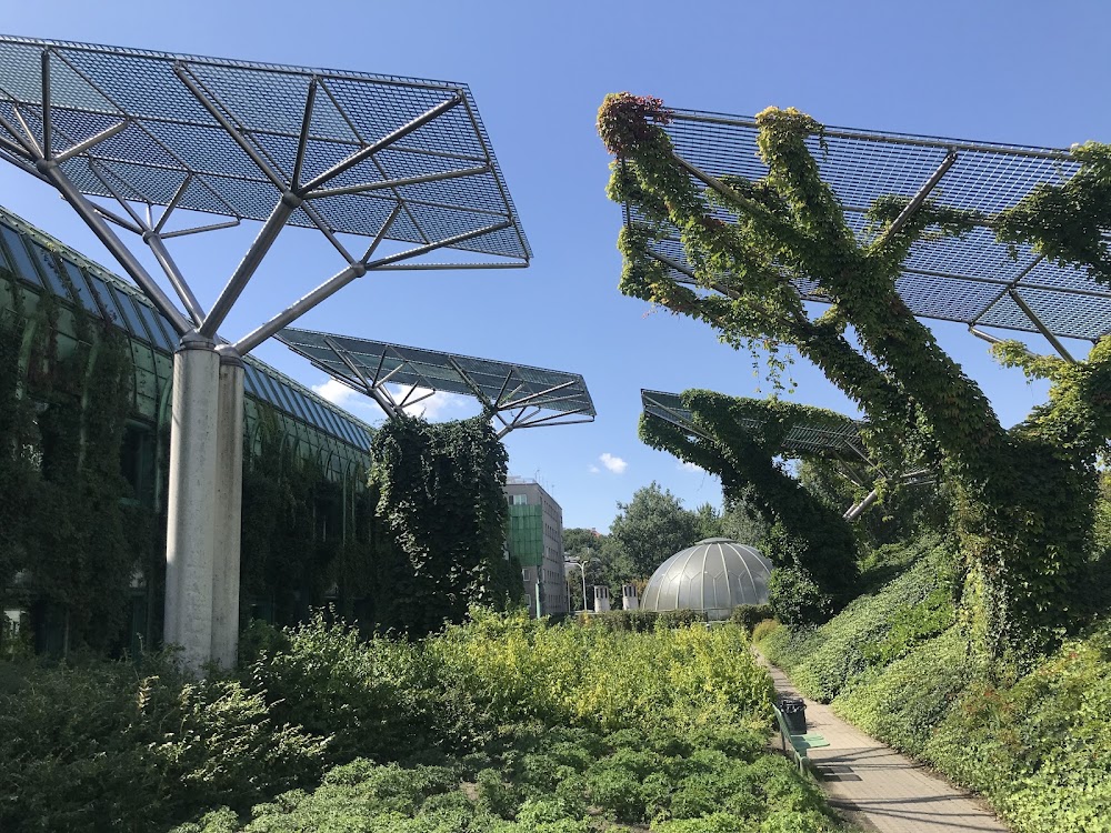 University Library Garden