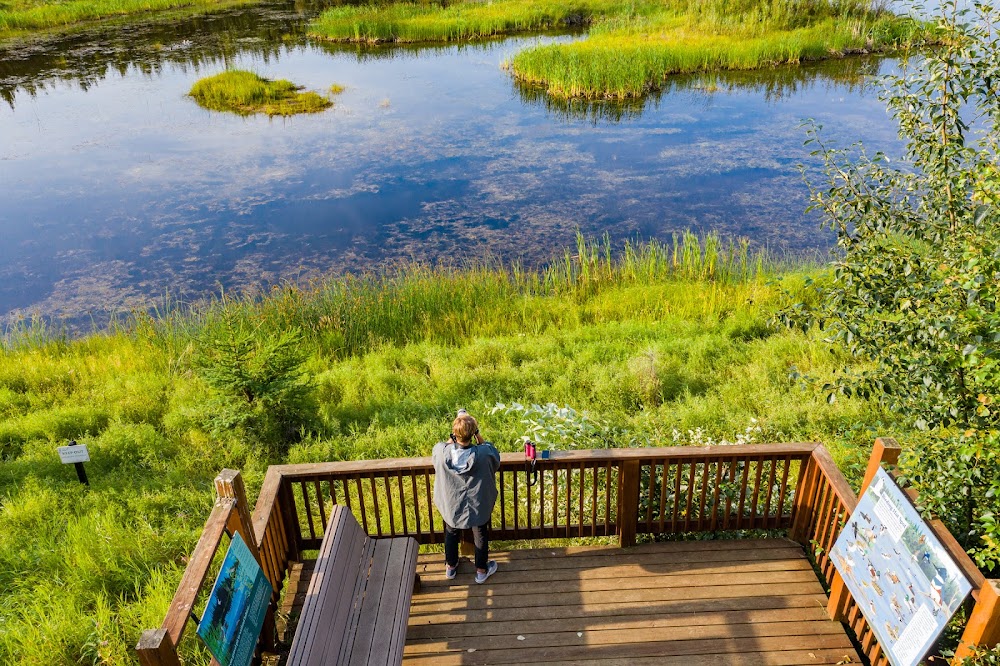Wedgewood Wildlife Sanctuary